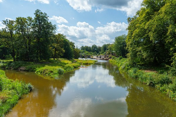 Découvrir les Calories : Guide Essentiel pour Nouveaux Venus